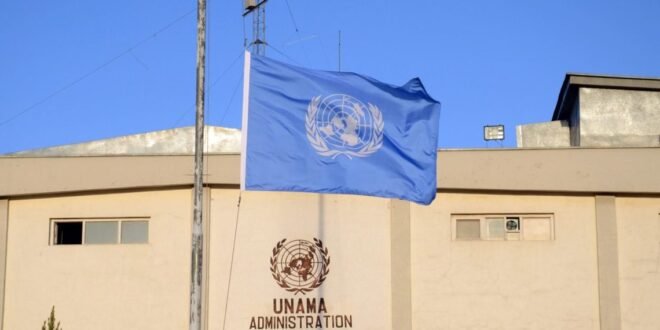 UNAMAA flag 1536x996 1 1140x739 1