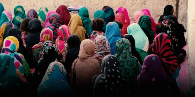 تصویر صفحه 2025 04 24 231409