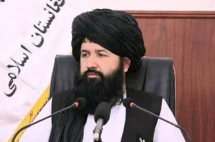 وزیر طالبا