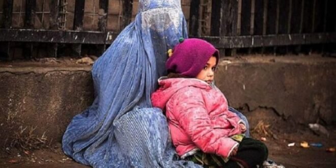 Gadaaa pfkm5c3kjzbi620vn9pv35lf14s5yzq46vm9aej1c8 696x453 1