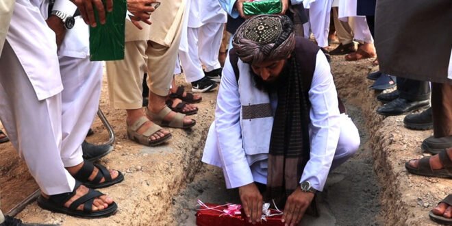Taliban 3 846x562 1