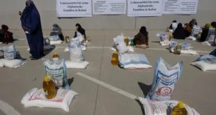 c2530091 6983 40f0 82dc 26f1486b0fa8.jpg