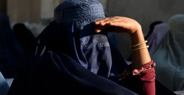 f70fd4b0 039e 11ee aa08 4727df20b680.jpg