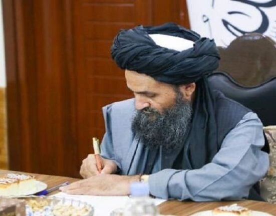 طالبان ۱۰ پروژه تجاری و مسکونی به ارزش بیش از ۲ میلیارد افغانی را تصویب کرد 7 طالبان ۱۰ پروژه تجاری و مسکونی به ارزش بیش از ۲ میلیارد افغانی را تصویب کرد