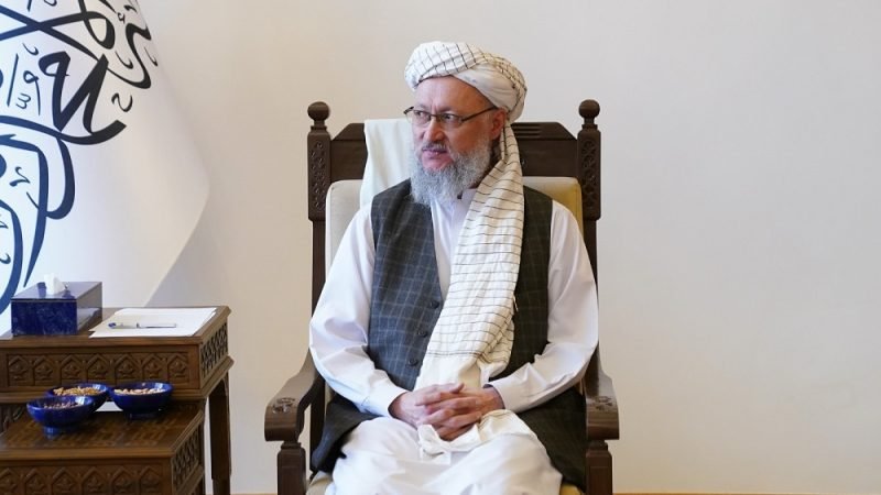 معاون اداری طالبان: هدف ملا عمر از شورش وحدت قومی و اعاده حیثیت افغانها بود 1 31