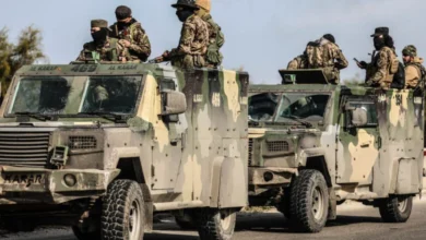 080306357955 780x470 1