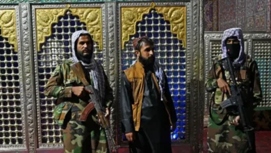 1a4c7790 239d 11ed b7db 6d90bcccb692.jpg