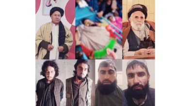 1e6c4c975a3a6fbb5461fa68ee34e3da32e2affd 2018x2048 1