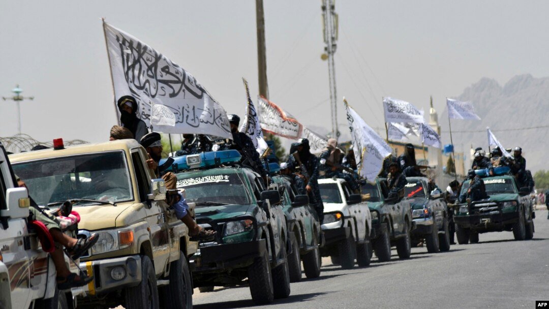 3568d67a 154e 4d94 9fd5