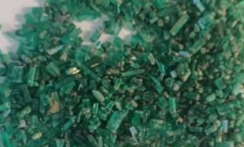 Untitled design 2024 11 19T181322.943