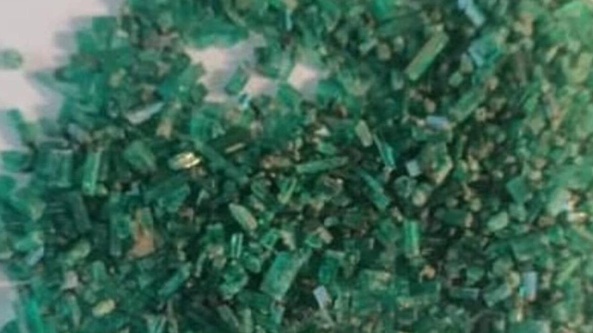 Untitled design 2024 11 19T181322.943