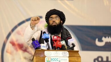 photo 2024 02 10 16 25 51 1080x700 1