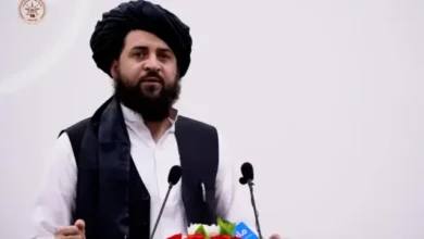 25ee33b0 3c1d 11ee 8699 7bab4e06d754.jpg