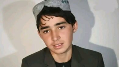 627010878 25887636637558833 896629586812260076 n