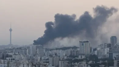 7b8b0620 bcb0 11f0 ae46 bd64331f0fd4.jpg