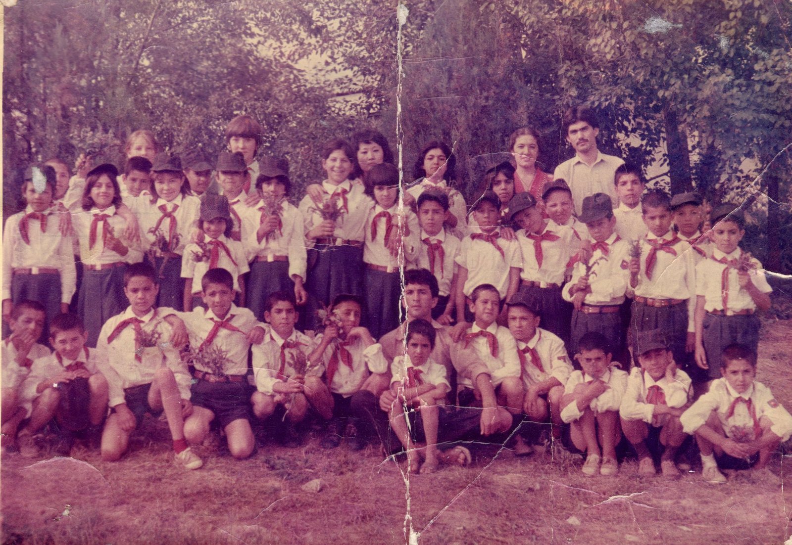 91236652 103718151283221 6450601761135656960 n