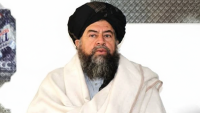 Gemini Generated Image 211a01211a01211a