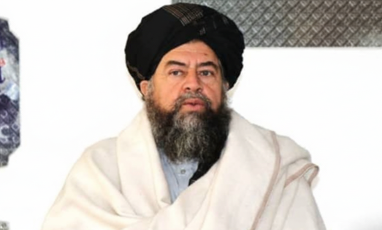 Gemini Generated Image 211a01211a01211a