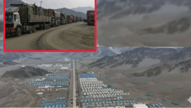 Gemini Generated Image bc2dz6bc2dz6bc2d