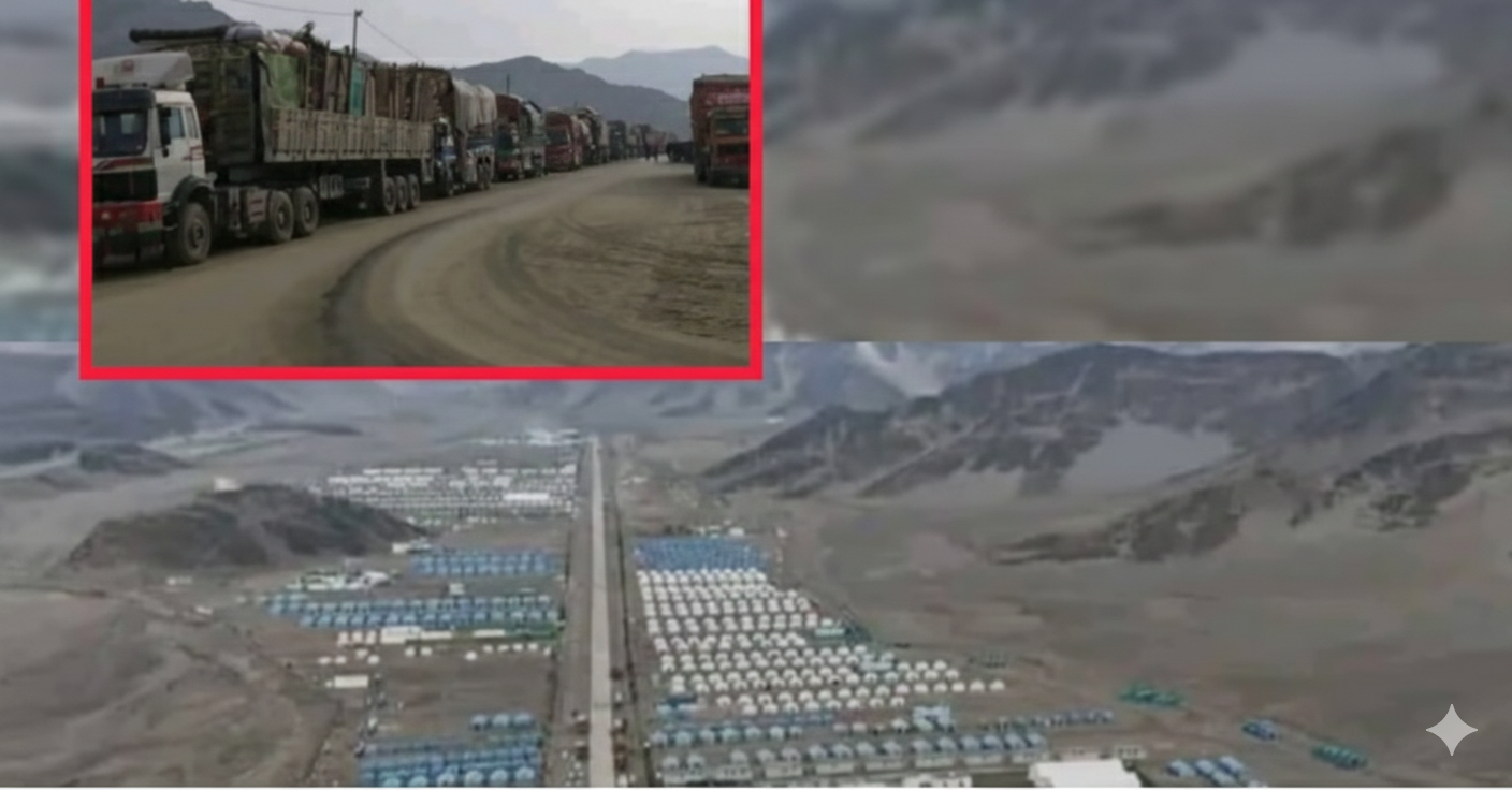 Gemini Generated Image bc2dz6bc2dz6bc2d