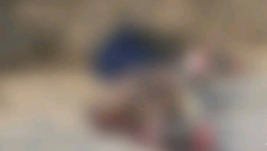 Gemini Generated Image ocoq75ocoq75ocoq e1771195010712