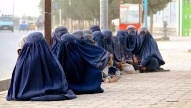 WhatsApp Image 2025 10 06 at 00.39.34 1b72d788