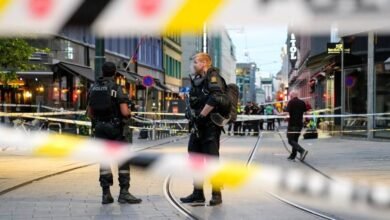 b138d972cd23a760b0684d033bf351b6831b4a85 1000x666 1