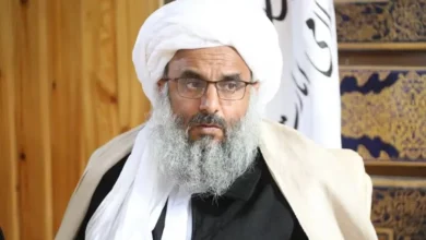 bdd394d7d4cb0a76da6b02fc82d3edccd1d7e407 992x661 1