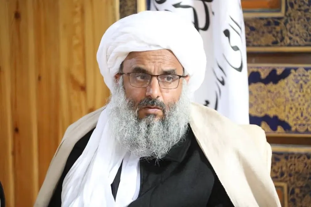 bdd394d7d4cb0a76da6b02fc82d3edccd1d7e407 992x661 1