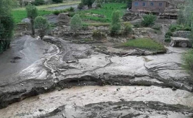 بارانهای شدید در دایکندی جان یک کودک را گرفت؛ خسارات گسترده به خانهها و زمینهای زراعتی 1 20220727 115807 psdeyuqjktp74jb5l6klmfwtia8c64h385hvgnte2w