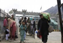 37838225 605 1100x674 1