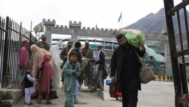 37838225 605 1100x674 1