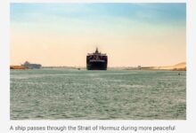 650930098 937255935452899 7164584047525226088 n