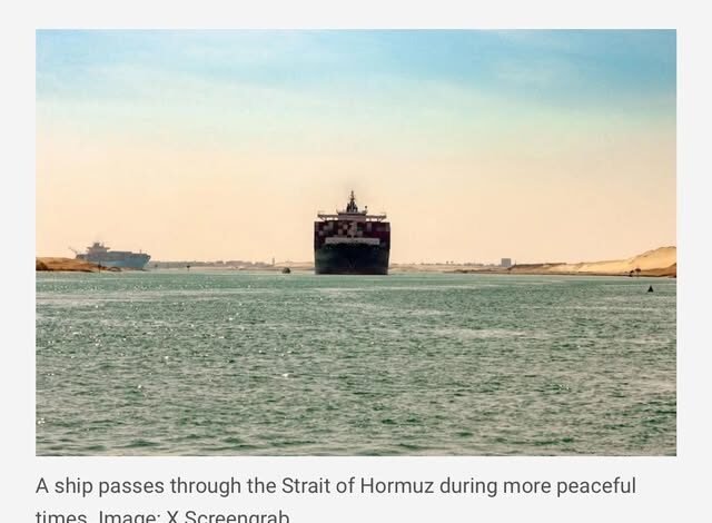 650930098 937255935452899 7164584047525226088 n