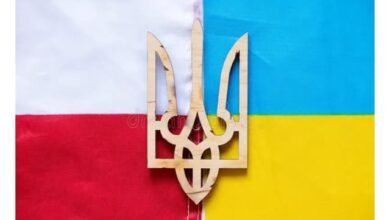 651407250 939450601900099 1851863186783229310 n