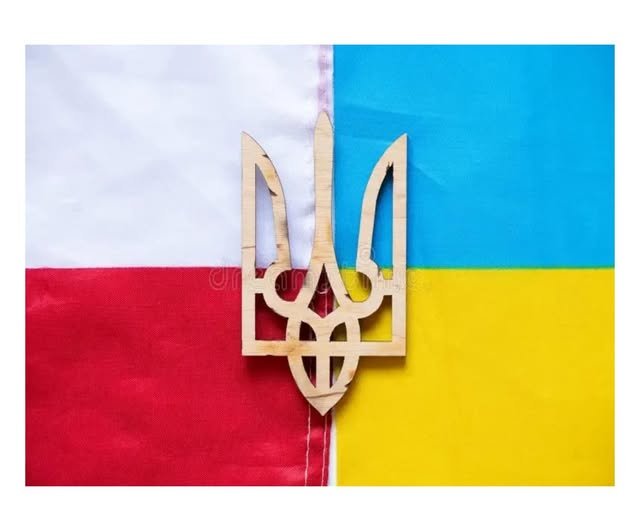 651407250 939450601900099 1851863186783229310 n