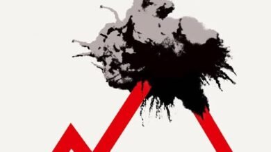 652339587 940847478427078 8638752286750334182 n