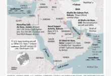 653020996 940730015105491 6765349955425733210 n