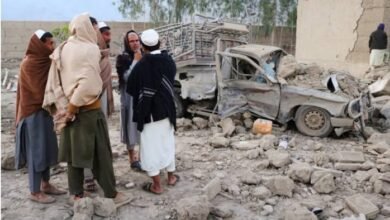 653442903 943296284848864 2354467334289312043 n