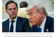 653705039 943958554782637 5635778748144140765 n