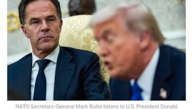 653705039 943958554782637 5635778748144140765 n