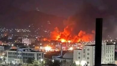 654242396 2306764609811110 3759381862370233416 n