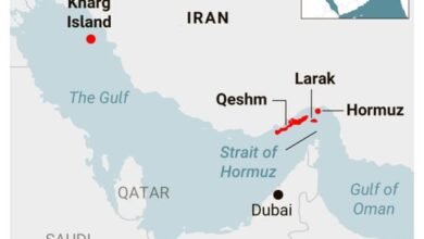 654436794 943992431445916 3620169793130939868 n