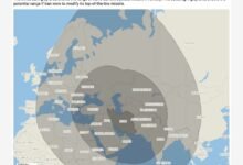 657279463 949017067610119 1728433683364447101 n