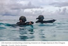 657325581 952446437267182 8093284956266639028 n