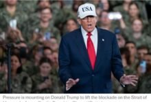 657791620 950668930778266 7440047769503600182 n