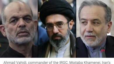 657878775 952419540603205 8027383649784246226 n