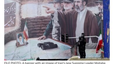 658337225 948302027681623 9043835565957646576 n