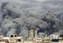 c74a0b00 15ad 11f1 9120 a910fc22c6ac.jpg