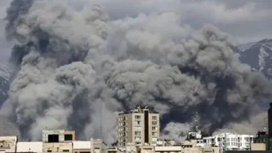 c74a0b00 15ad 11f1 9120 a910fc22c6ac.jpg